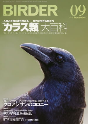 BIRDER2016年9月号