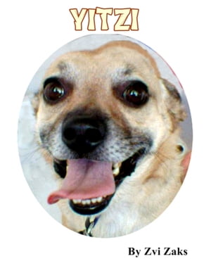 ŷKoboŻҽҥȥ㤨YitziŻҽҡ[ Zvi Zaks ]פβǤʤ109ߤˤʤޤ