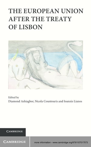 ŷKoboŻҽҥȥ㤨The European Union after the Treaty of LisbonŻҽҡۡפβǤʤ6,772ߤˤʤޤ