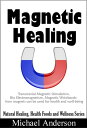 Magnetic Healing: Transcranial Magnetic Stimulation, Bio Electromagnetism, Magnetic Wristbands- How Magnets can be used for Health and Well-being Natural Healing, Health Foods and Wellness Series, #1