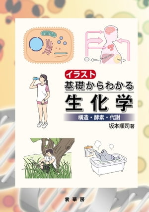 イラスト 基礎からわかる生化学構造・酵素・代謝【電子書籍】[ 坂本 順司 ]