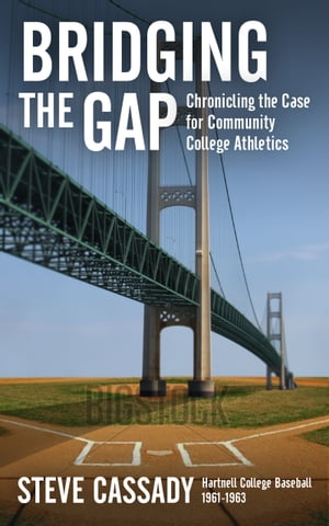 Bridging the Gap