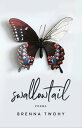 swallowtail【電子書籍】[ Brenna Twohy ]