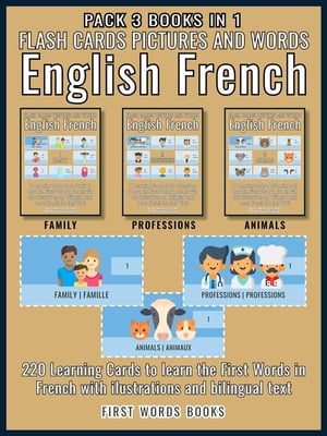 Pack 3 Books in 1 - Flash Cards Pictures and Words English French