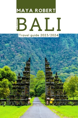 The Updated Bali Travel Guide 2024