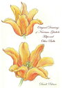 ŷKoboŻҽҥȥ㤨Original Drawings of Narcissus, Gladioli, Tulips and Other BulbsŻҽҡ[ Dandi Palmer ]פβǤʤ113ߤˤʤޤ