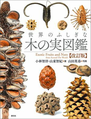 世界のふしぎな木の実図鑑【改訂版】【電子書籍】[ 小林智洋 ]