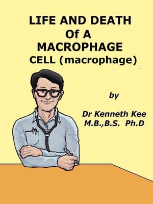 ŷKoboŻҽҥȥ㤨Life And Death Of A Macrophage Cell (MacrophageŻҽҡ[ Kenneth Kee ]פβǤʤ391ߤˤʤޤ