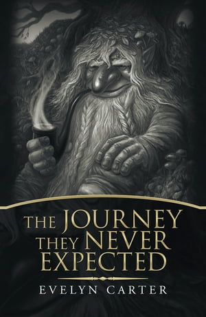 The Journey They Never Expected【電子書籍