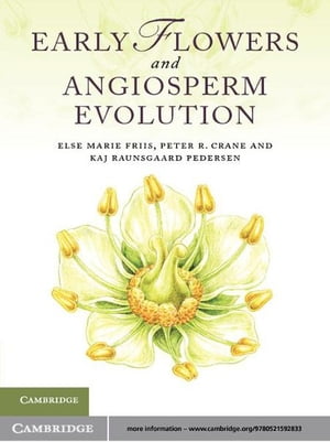 Early Flowers and Angiosperm Evolution