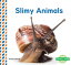 Slimy Animals