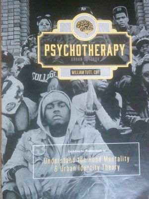 Understanding the Hood Mentality and Urban Identity Theory, Urban Psychotherapy Outlook