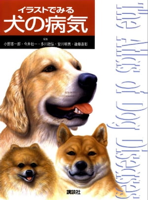 イラストでみる犬の病気【電子書籍】 小野憲一郎