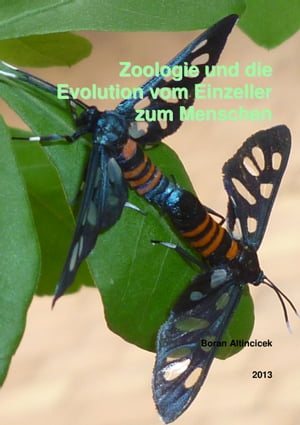 Zoologie und die Evolution vom Einzeller zum Menschen