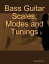 Bass Guitar Scales, Modes and Tunings