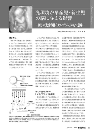 光環境が早産児・新生児の脳に与える影響 ー新しい光受容体「メラノプシン」のもつ意味ー【電子書籍】[ 太田英伸 ]