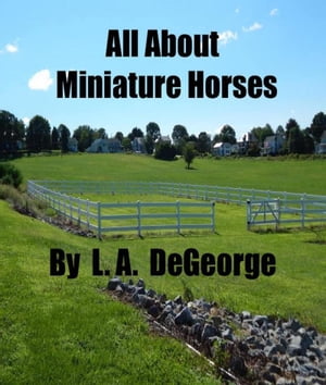 All About Miniature Horses