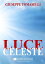 Luce celesteŻҽҡ[ Giuseppe Tomaselli ]