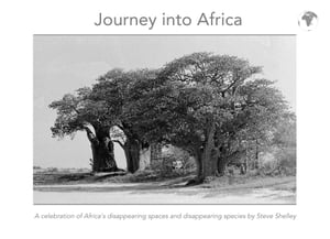 Journey into Africa