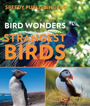 Bird Wonders - Strangest Birds