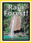 Just Rainforest Photos! Big Book of Photographs & Pictures of Rain Forests, Vol. 1