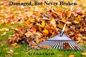 Damaged, But Never BrokenŻҽҡ[ Edah Cherub ]