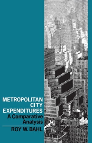 Metropolitan City Expenditures