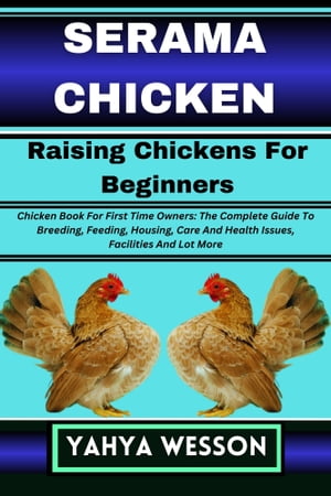 SERAMA CHICKEN Raising Chickens For Beginners