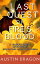 Last Quest of Fire's Blood (A Fabled Quest Chronicles Novella)