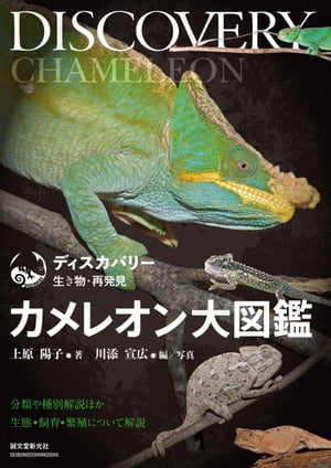 カメレオン大図鑑 分類や種別解説ほか生態・飼育・繁殖について解説【電子書籍】[ 上原陽子 ]