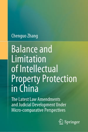 Balance and Limitation of Intellectual Property Protection in China