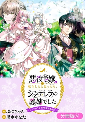 悪役令嬢に転生したと思ったら、シンデレラの義姉でした 〜シンデレラオタクの異世界転生〜【分冊版】/ 6