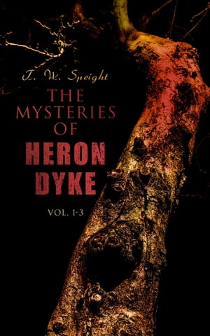 The Mysteries of Heron Dyke (Vol. 1-3) A Novel of Incident
