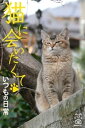 猫に会いたくて いつもの日常【電子書籍】