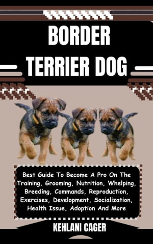 BORDER TERRIER DOG