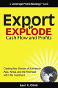 ŷKoboŻҽҥȥ㤨Export to Explode Cash Flow and Profits: Creating New Streams of Business in Asia, Africa and the Americas with Little InvestmentŻҽҡ[ Lauri Elliott ]פβǤʤ535ߤˤʤޤ