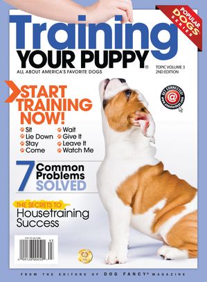 Training your PuppyŻҽҡ