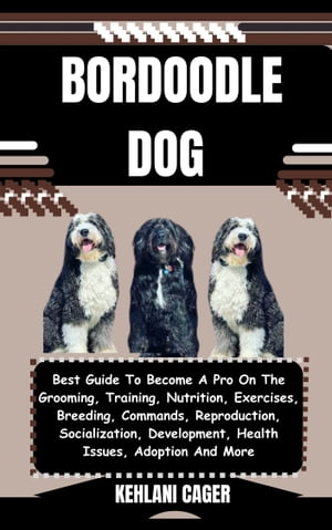 BORDOODLE DOG Best Guide To Become A Pro On The 