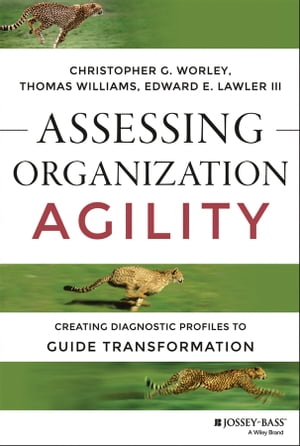 Assessing Organization Agility