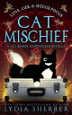 Love, Lies, and Hocus Pocus Cat Mischief The Lily Singer Adventures Novellas, #3