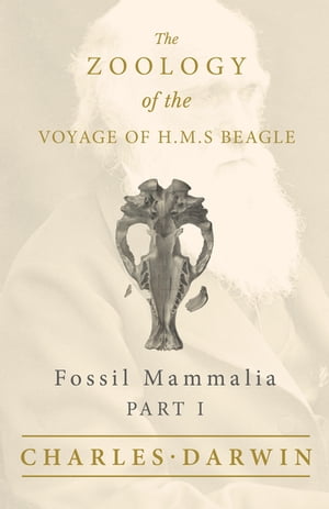 Fossil Mammalia - Part I - The Zoology of the Voyage of H.M.S Beagle Under the Command of Captain Fitzroy - During the Years 1832 to 1836Żҽҡ[ Richard Owen ]