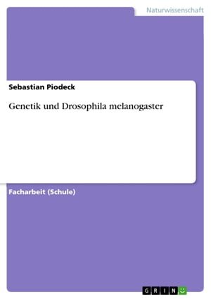 Genetik und Drosophila melanogaster