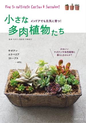 小さな多肉植物たち【電子書籍】[ サボテン相談室　羽兼直行 ]