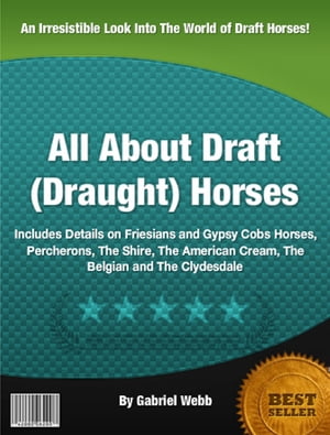 All About Draft (Draught) Horses