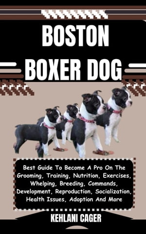 BOSTON BOXER DOG