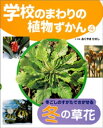学校のまわりの植物ずかん 冬ごしのすがたでさがせる冬の草花【電子書籍】