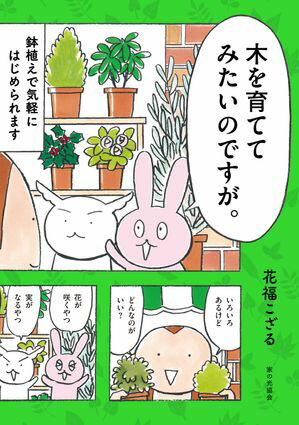 木を育ててみたいのですが。 鉢植えで気軽にはじめられます