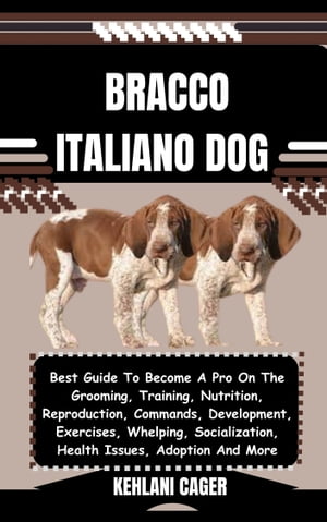BRACCO ITALIANO DOG