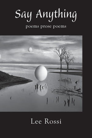 Say Anything【電子書籍】[ Lee Rossi ]