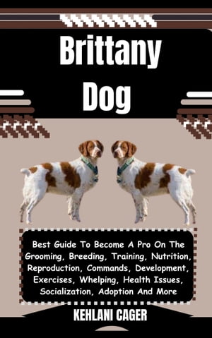 Brittany Dog